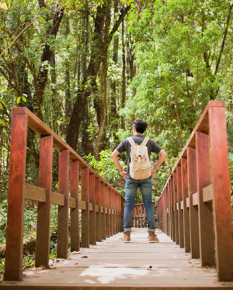 A peaceful, sunlit path lined with palm trees and tropical greenery, symbolizing creativity and innovation in a serene Central Florida setting.